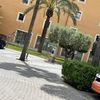 Hotel Occidental Playa de Palma