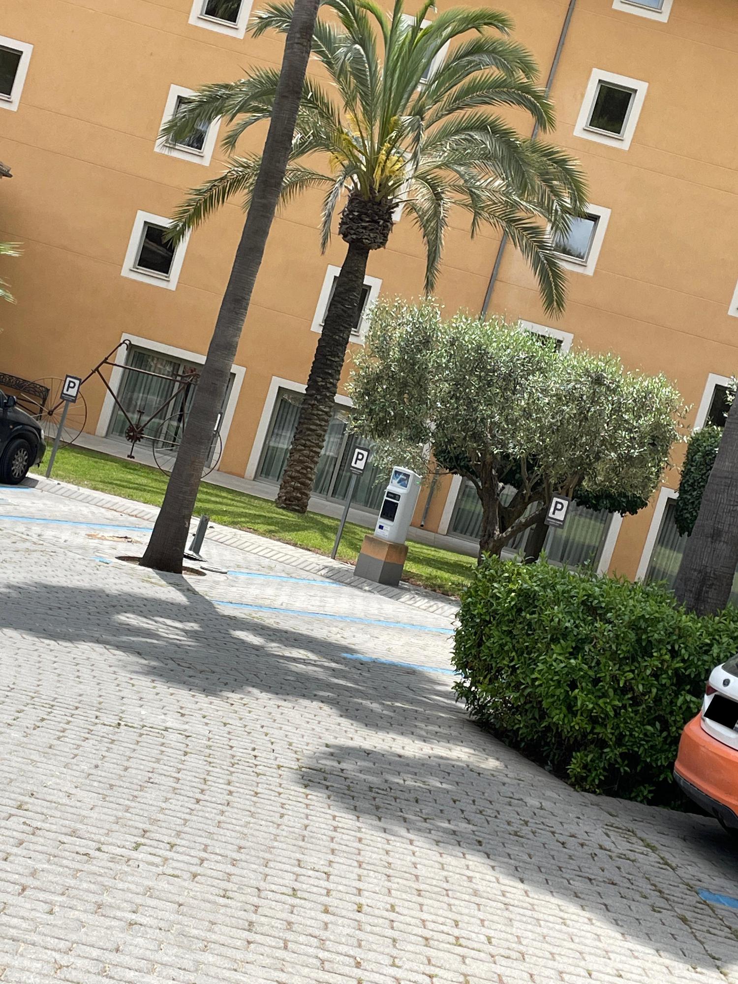 Hotel Occidental Playa de Palma