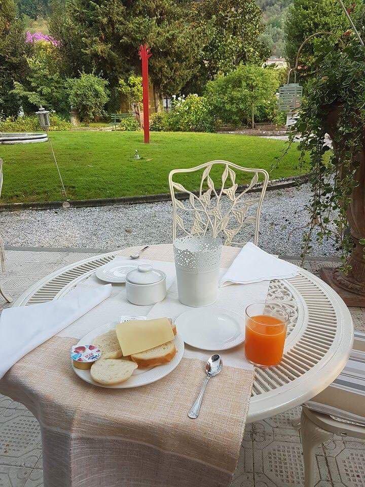 Nice terrasse and quiet garden