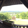 The view!