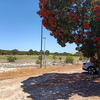 Badgingarra Oval (Shire of Dandaragan)