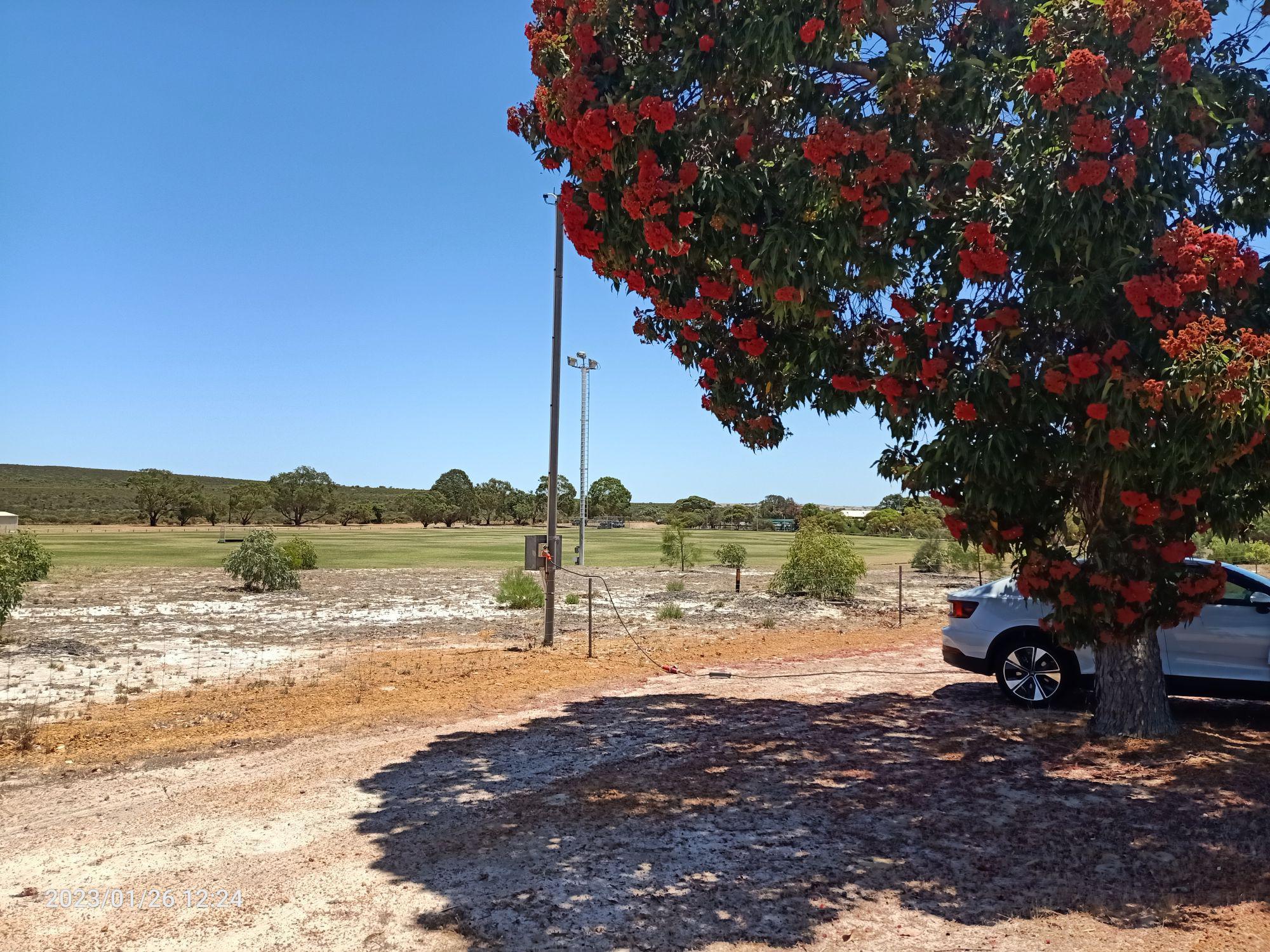 Badgingarra Oval (Shire of Dandaragan)