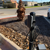 Best Western Green Oak Inn & Suites
