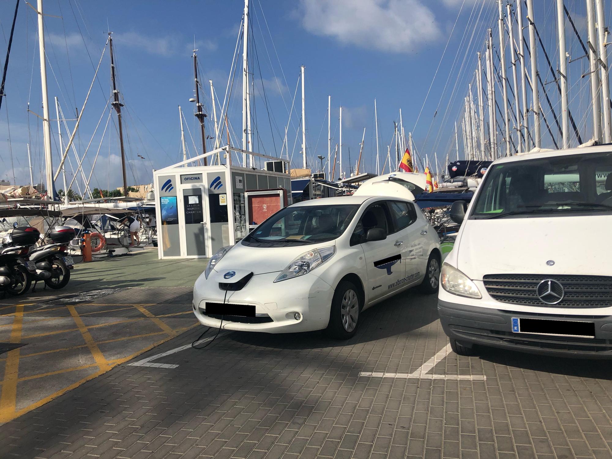 La lonja marina charter