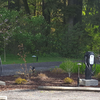 Tesla and J-1772 charging stations