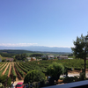 The view from the restaurant terrace