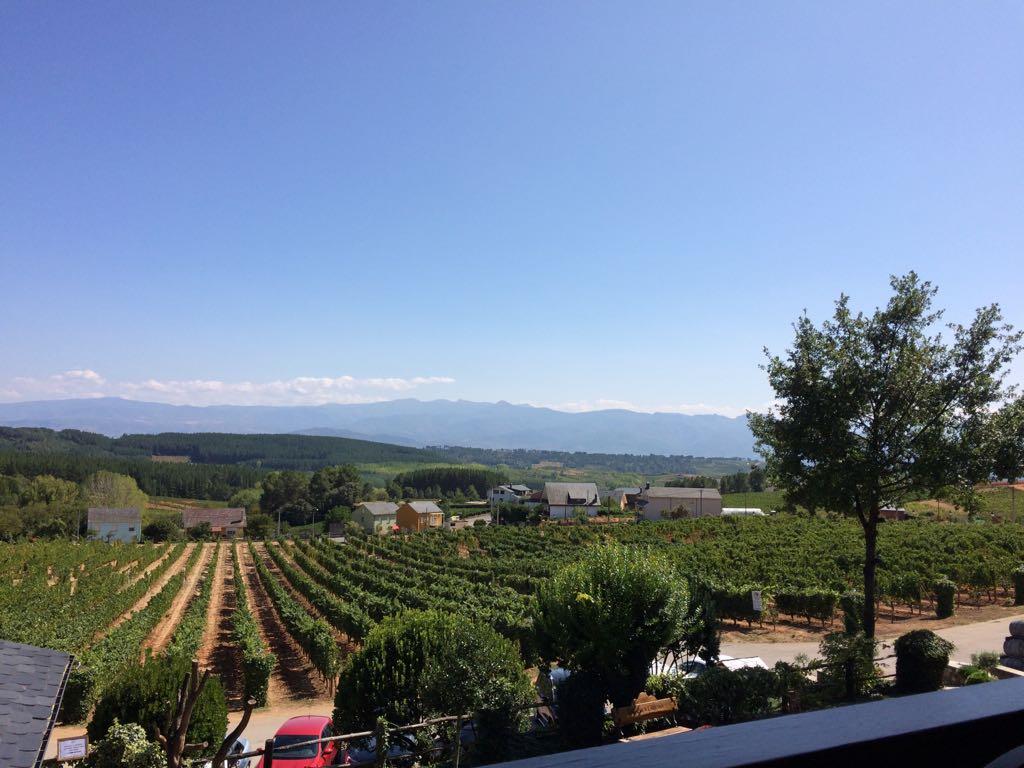 The view from the restaurant terrace