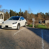 Came for annual LTSP By The Sea again, this year in the Model Y.