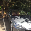 Disneyland Hotel Parking