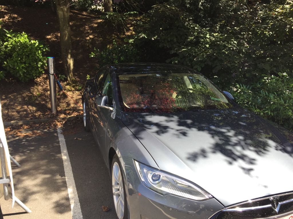 Disneyland Hotel Parking