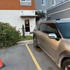 Holiday Inn Express & Suites Raymondville