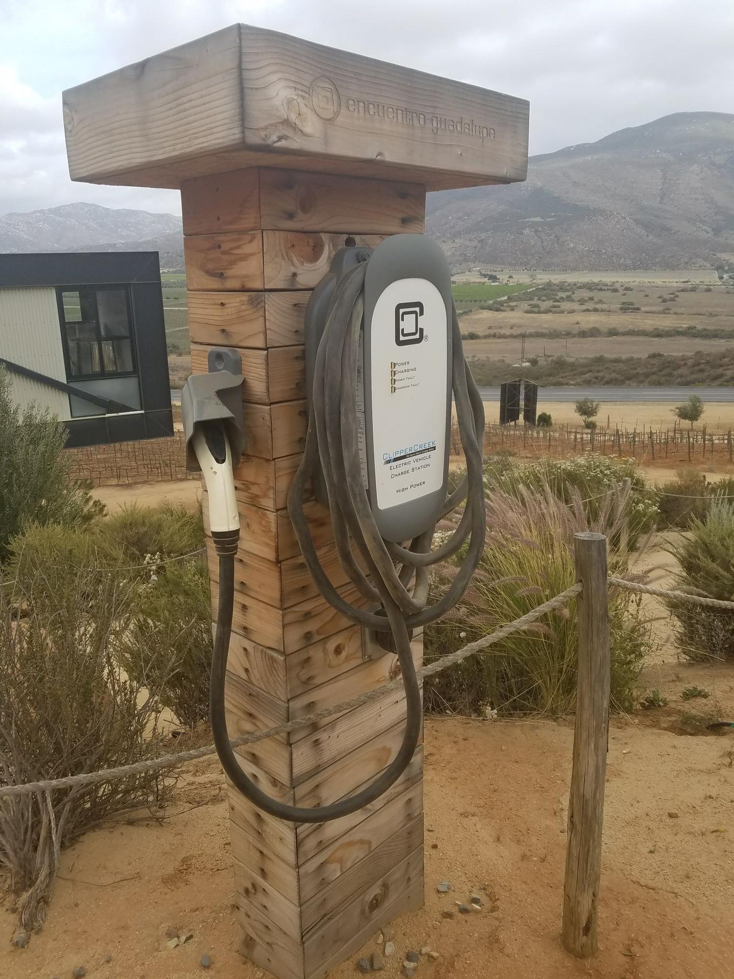 Encuentro Guadalupe