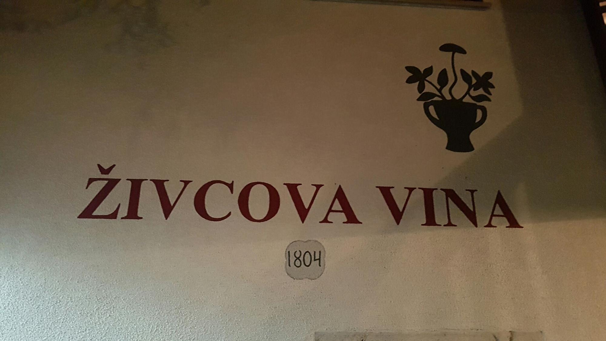 Pri Živcovih