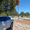 Badgingarra Oval (Shire of Dandaragan)