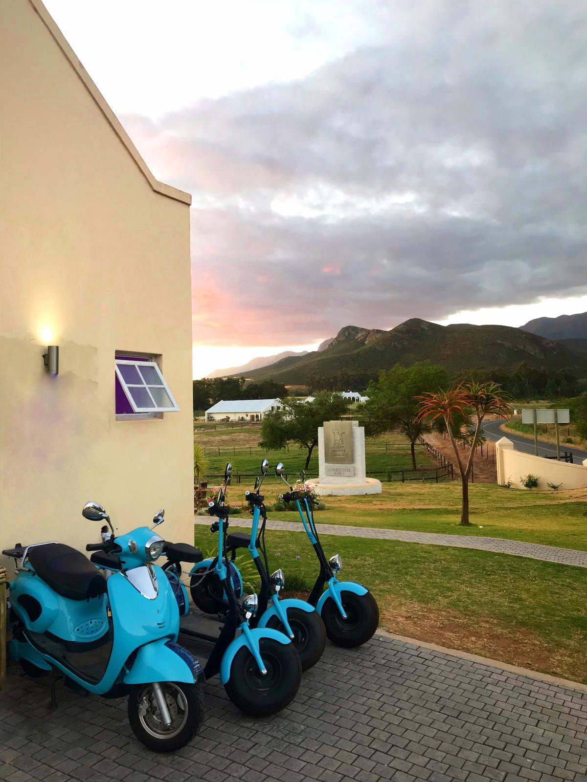 Try the electric scooters!