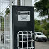 Palmas Luz