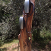 Il Paluffo