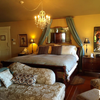 Suites at the hotel