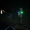 That feeling you get when you go to unplug your car in the dark and realize there’s a deer staring at you...