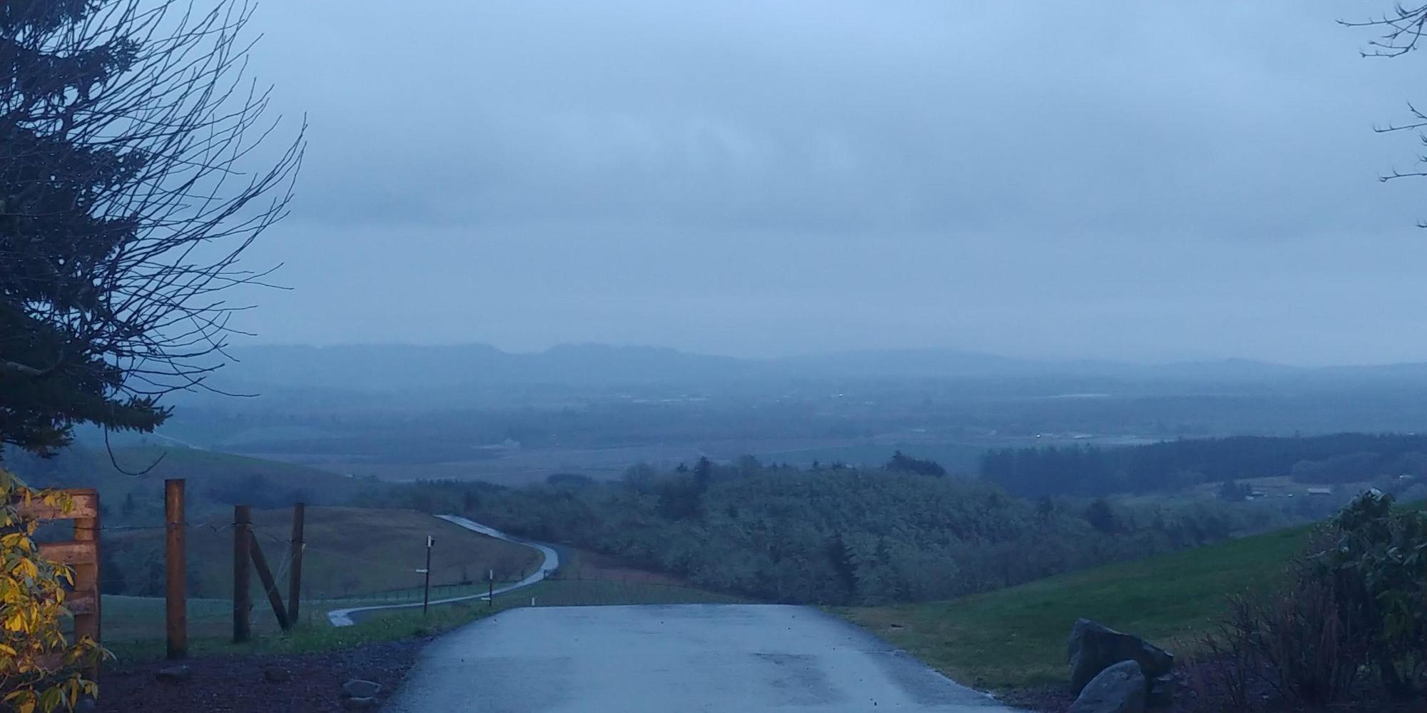 Might be rainy but Youngberg has views